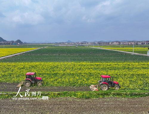 1024国产区,探索国产科技的魅力与未来